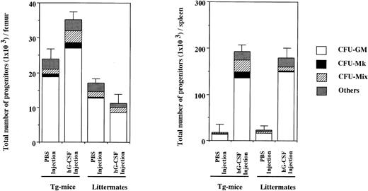 Fig. 5. Hematopoietic progenitors in BM cells from one femur and one spleen of hG-CSFR-Tg mice and littermates receiving hG-CSF. The numbers of hematopoietic progenitors were assayed by methylcellulose clonal culture. “Others” include erythroid and mast cell progenitors. Representative data from the three separate experiments are shown.