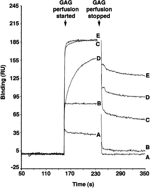Fig. 5. Binding of differentially sulfated GAGs to PF4. GAGs were perfused over biotinylated PF4 immobilized on a streptavidin chip in BIAcore biosensor equipment. Binding was measured in resonance units (1 RU = 1 pg/mm2) using surface plasmon resonance. Binding of each GAG was measured in triplicate at each concentration for five different concentrations. Representative binding curves are shown for the following concentrations of GAGs: (A) desulfated heparin, 3.4 × 10−6 mol/L; (B) N-sulfated heparin, 3.4 × 10−6 mol/L; (C) O-sulfated heparin, 1.7 × 10−6 mol/L; (D) bovine kidney heparan sulfate, 8.33 × 10−7 mol/L; and (E) unmodified heparin, 8.33 × 10−7 mol/L.