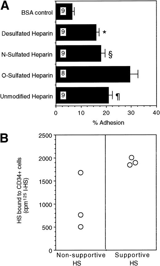 Fig. 6. (A) Adhesion of CD34+ cells to differentially sulfated GAGs. 51Cr-labeled CD34+ cells (20,000 cells/well) were incubated for 4 hours at 37°C in 48-well plates previously coated with 5% BSA or with 100 μg/mL ovalbumin-conjugated GAGs. The percentage of adhesion was calculated from the proportion of input cpm present in the adherent cells. Numbers within bars indicate the number of experiments. Comparison between O-sulfated heparin and other conditions: *P< .002; §P < .005; ¶P < .05. (B) Binding of 125I-HS to CD34+ cells. The binding of 106 cpm of 125I-HS from the two cells to 0.75 × 106 CD34+ cells suspended in 0.5 mL medium was estimated, as described in Materials and Methods. Radioactivity bound to the cells was counted using a gamma counter.
