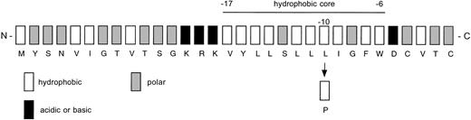 Fig. 5. Cartoon of AT signal peptide illustrating the location of the central hydrophobic domain and the L(-10)P substitution.