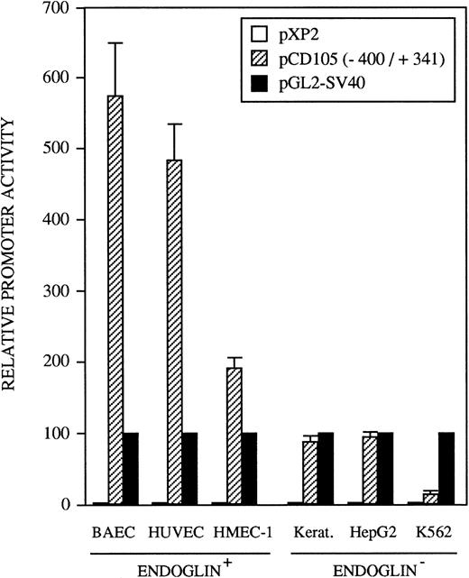Fig. 5. Tissue-specific expression of the endoglin promoter. Endoglin+ (BAEC, HUVEC, and HMEC-1) and endoglin− (K562, HepG2, and keratinocytes) cells were transiently transfected with the pCD105 (−400/+341) endoglin promoter construct. Luciferase activity was determined 48 hours after transfection. Correction for transfection efficiency was made by cotransfection with a β-galactosidase expression vector. In addition, cells were transfected in parallel with the pGL2-SV40 vector, which contains the SV40 viral promoter activity, as a positive control. The promoterless pXP2 plasmid was also included as a negative control. This is a representative experiment of four separate experiments.