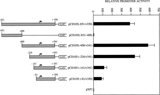 Fig. 6. Identification of critical elements within the endoglin promoter. A set of deletion constructs were generated and inserted into a reporter vector containing the luciferase gene. BAEC were transiently transfected with the indicated promoter constructs and luciferase activity was determined 48 hours after transfection. Correction for transfection efficiency was made by cotransfection with β-galactosidase expression vectors and parallel transfections with the pGL2-SV40 and pXP2 vectors. This is a representative experiment of four separate experiments.