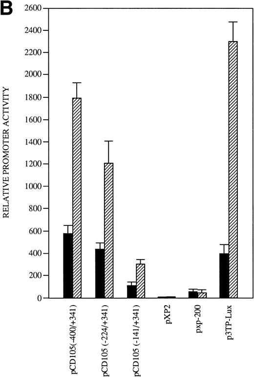 Fig. 9. Effect of TGF-β treatment on the endoglin promoter activity. BAEC were transiently transfected with the indicated promoter constructs and TGF-β1 was added 24 hours posttransfection to half of the transfected cells. Luciferase activity was determined 48 hours after transfection. Correction for transfection efficiency was made by cotransfection with β-galactosidase expression vectors and parallel transfections with the pGL2-SV40 and pXP2 vectors, used as positive and negative controls, respectively. The promoter activity of the pGL2-SV40 vector was arbitrarily considered as 100. (A) Effect of increasing concentrations of TGF-β. BAEC were transiently transfected with the pCD105 (−400/+341) plasmid and stimulated with TGF-β1 at the concentrations indicated. This is a representative experiment of five separate experiments. (B) TGF-β inducibility in different endoglin promoter constructs. BAEC were transiently transfected with the indicated plasmids and incubated either in the absence (▪) or in the presence (▨) of 10 ng/mL of TGF-β1. The TGF-β–inducible reporter construct p3TP-lux was included as a positive control. The P-cadherin promoter construct pxp-200 failed to respond to TGF-β. A representative experiment of five different experiments is shown. (C) A representative scheme of the different constructs used with the relative location of TGF-β–responsive elements is shown. TCE, TGF-β control element; TIE, TGF-β inhibitory element; TAE, TGF-β activation element; Mad, Mothers against decapentaplegic complex.