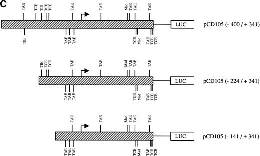 Fig. 9. Effect of TGF-β treatment on the endoglin promoter activity. BAEC were transiently transfected with the indicated promoter constructs and TGF-β1 was added 24 hours posttransfection to half of the transfected cells. Luciferase activity was determined 48 hours after transfection. Correction for transfection efficiency was made by cotransfection with β-galactosidase expression vectors and parallel transfections with the pGL2-SV40 and pXP2 vectors, used as positive and negative controls, respectively. The promoter activity of the pGL2-SV40 vector was arbitrarily considered as 100. (A) Effect of increasing concentrations of TGF-β. BAEC were transiently transfected with the pCD105 (−400/+341) plasmid and stimulated with TGF-β1 at the concentrations indicated. This is a representative experiment of five separate experiments. (B) TGF-β inducibility in different endoglin promoter constructs. BAEC were transiently transfected with the indicated plasmids and incubated either in the absence (▪) or in the presence (▨) of 10 ng/mL of TGF-β1. The TGF-β–inducible reporter construct p3TP-lux was included as a positive control. The P-cadherin promoter construct pxp-200 failed to respond to TGF-β. A representative experiment of five different experiments is shown. (C) A representative scheme of the different constructs used with the relative location of TGF-β–responsive elements is shown. TCE, TGF-β control element; TIE, TGF-β inhibitory element; TAE, TGF-β activation element; Mad, Mothers against decapentaplegic complex.