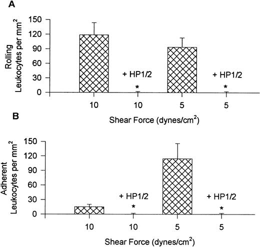 Fig. 2. Rolling (A) and adhesion (B) of leukocytes recruited from whole blood onto VCAM-1 in the presence and absence of anti–4-antibody HP1/2 (2 μg/mL). * P < .05 relative to no antibody condition.