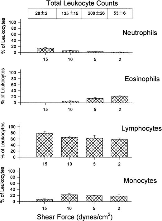 Fig. 3. Quantitative assessment of the types of leukocytes found on VCAM-1–coated cover slips (5 μg/mL) after perfusion of whole blood at different shear forces. Cover slips were differentially stained and analyzed for the presence of neutrophils, eosinophils, lymphocytes, and monocytes. Data is shown as the percentage of total leukocytes found on the cover slips. Total leukocyte counts are the actual number of leukocytes observed per mm2.