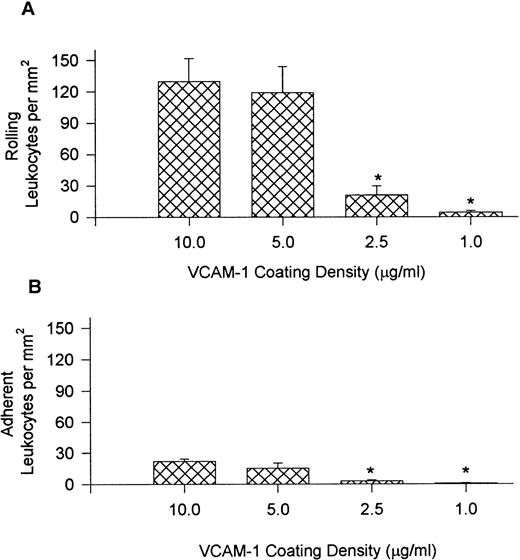 Fig. 4. Leukocyte rolling (A) and adhesion (B) observed on cover slips coated with different concentrations of VCAM-1 after perfusion of whole blood at 10 dynes/cm2. *P < .05 relative to 5.0 μg/mL