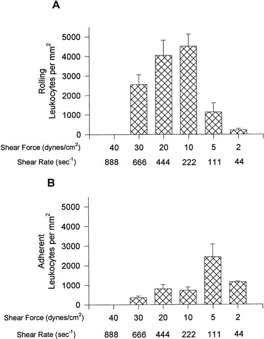 Fig. 5. Leukocyte rolling (A) and adhesion (B) observed on soluble human E-selectin–coated cover slips (5 μg/mL) after perfusion of whole blood at different shear forces.