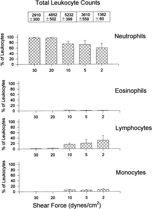 Fig. 6. Quantitative assessment of the types of leukocytes found on E-selectin–coated cover slips (5 μg/mL) after perfusion of whole blood at different shear forces. Total leukocyte counts are the actual number of leukocytes observed per mm2.