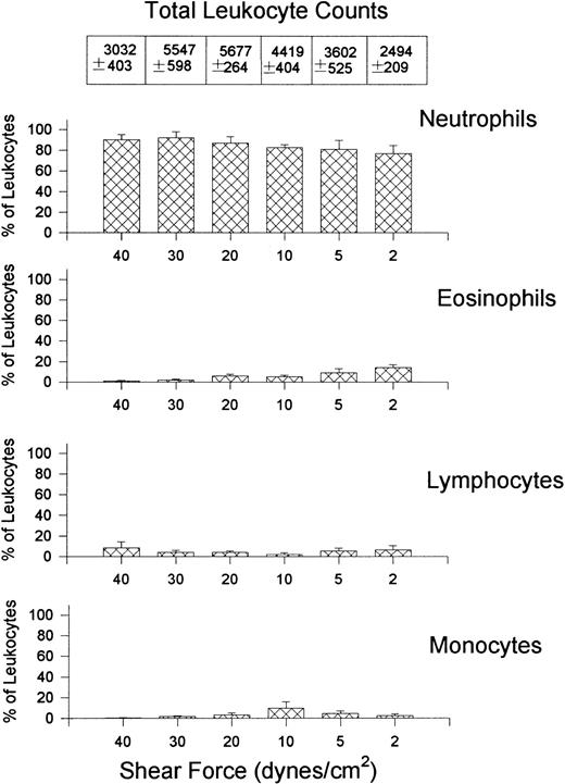 Fig. 8. Quantitative assessment of the types of leukocytes found on P-selectin–coated cover slips (5 μg/mL) after perfusion of whole blood at different shear forces. Total leukocyte counts are the actual number of leukocytes observed per mm2.