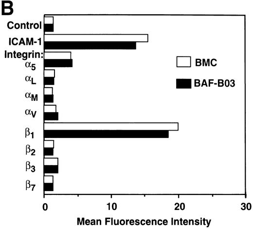 Fig. 4. (A) Flow cytometric analysis of 4 integrin and VCAM-1 expression in BAF-B03 cells and transfectants. The various cells were unstained (dotted line) or stained with anti-4 integrin and anti–VCAM-1 MoAbs (solid line), followed by staining with FITC-labeled secondary antibodies and a flow cytometric analysis, as described in Materials and Methods. (B) Flow cytometric analysis of expression of various integrin subunits and ICAM-1 on BAF-B03 cells (□) and BMC cells (▪). The mean fluorescence intensity values are shown.