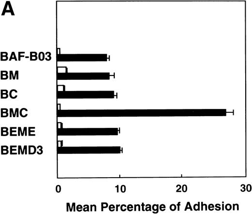 Fig. 6. (A) Adhesion of BAF-B03 cells and transfectants to Fn-coated or HSA-coated plates. Mean percentage of indicated cells binding to Fn (▪) or HSA (□) is shown. (B) Effect of anti-4 blocking MoAb (PS/2) and PMA treatment on the adhesion of BAF-B03 cells and transfectants to Fn. The cells indicated were untreated or treated with anti-4 integrin MoAb in the presence or absence of PMA. The mean percentage of binding is shown.