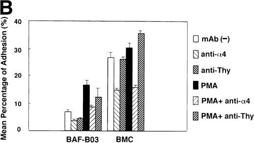 Fig. 6. (A) Adhesion of BAF-B03 cells and transfectants to Fn-coated or HSA-coated plates. Mean percentage of indicated cells binding to Fn (▪) or HSA (□) is shown. (B) Effect of anti-4 blocking MoAb (PS/2) and PMA treatment on the adhesion of BAF-B03 cells and transfectants to Fn. The cells indicated were untreated or treated with anti-4 integrin MoAb in the presence or absence of PMA. The mean percentage of binding is shown.