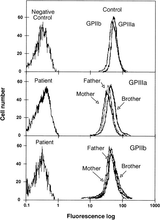Fig. 1. Flow cytometric analysis of GPIIb-IIIa content in platelets from the proband, her parents, and her brother. The fluorescence analysis was performed in a Coulter cytometer, model Epics XL. Results are expressed as semilog plots of cell number versus fluorescence intensity. The upper panel shows the fluorescence signals of GPIIIa and GPIIb from control platelets. The negative control represents the fluorescent signal of platelets without antibodies. The middle panel shows the labeling of GPIIIa with the MoAb P95.2 in platelets from the proband, her parents, and her brother. The lower panel shows the results of labeling GPIIb with the MoAb M3 in platelets from the proband, her parents, and her brother. For the sake of clarity, the original plots have been redrawn.