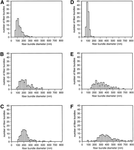 Fig. 3. Histograms of fiber bundle diameters from scanning electron micrographs of digested clot surfaces. Fiber bundle diameters were measured from micrographs similar to those shown in Fig 2. Fiber bundle diameters are in nanometers. The histograms for each digestion experiment are arranged in the same way as the corresponding representative micrographs in Fig 2, for ease of comparison. The same number of measurements was made for each digestion condition. (A) 0.2 U/mL plasmin, 30 minutes. (B) 0.2 U/mL plasmin, 1 hour. (C) 0.2 U/mL plasmin, 3.5 hours. (D) Control, no plasmin. (E) 0.5 U/mL plasmin, 30 minutes. (F) 2.0 U/mL plasmin, 3.5 hours.