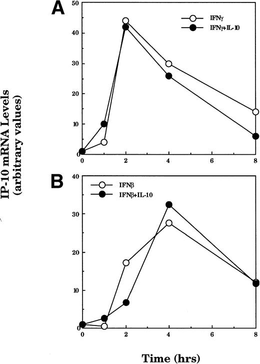 Fig. 4. The suppressive action of IL-10 is stimulus-dependent. TG-elicited macrophages were treated with IFNγ (50 U/mL; A) or IFNβ (500 U/mL; B) in the absence or presence of IL-10 (25 ng/mL) for the indicated times. Total RNA was prepared and IP-10 and GAPDH mRNA were analyzed using northern hybridization. Levels of expression in each lane were quantified using phosphorimage analysis. The data presented for IP-10 mRNA are normalized to the level of GAPDH in each sample. Similar results were obtained in two separate experiments.
