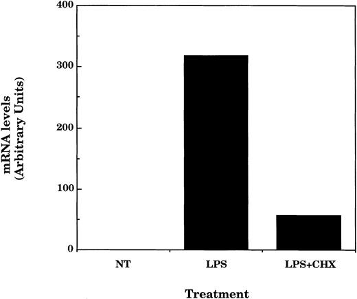 Fig. 6. LPS-induced IP-10 mRNA expression is dependent on protein synthesis. TG-elicited macrophages (1 × 107 cells/sample) were treated with LPS (10 ng/mL) in the absence or presence of cycloheximide (1 μg/mL) for 4 hours before measurement of IP-10 and GAPDH mRNA levels by northern hybridization and phosphorimage analysis as described in the legend to Fig 2. Similar results were obtained in two separate experiments.