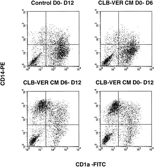 Fig. 5. Effect of RCC CM during the different phases of the culture. Double staining (CD14-PE/CD1a-FITC) was performed at day 12 and the results were compared for CD34+ cultured with cytokines alone (control) or in the presence of 10% RCC CM from day 0 to 6 (top right), from day 6 to day 12 (bottom left), or day 0 to day 12 (bottom right). Results are representative of four experiments.