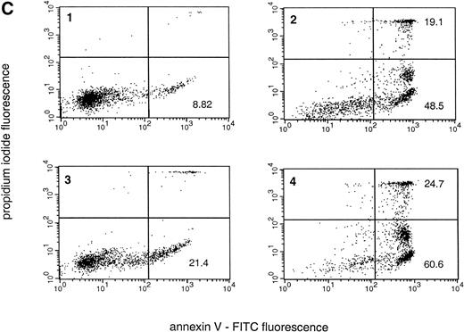 Fig. 1. Spontaneous and Fas/APO-1–mediated apoptosis of freshly isolated human neutrophils. (A) Cytospin preparations of neutrophils were stained with hematoxylin/eosin and apoptotic cells were quantified morphologically: (1) medium alone 0 hour, (2) medium alone 6 hours, (3) anti-Fas MoAb 250 ng/mL 6 hours, (4) medium alone 24 hours. Bold arrows indicate typical cells in the intermediate stages of apoptosis. Percentages of apoptotic cells are reported in Table 1. (B) Agarose gel electrophoresis of DNA showing a time-dependent increase in the formation of oligonucleosomal DNA fragments in spontaneous (lane 1, 0 hour; lane 2, 3 hours; lane 3, 6 hours; lane 4, 12 hours; lane 5, 24 hours) and Fas/APO-1–triggered (lane 6, 3 hours; lane 7, 6 hours; lane 8, 12 hours) apoptosis. Lane M represents molecular weight marker (kB). (C) Flow cytometric analysis of annexin V binding in neutrophils undergoing spontaneous (panel 1, 6 hours; panel 2, 24 hours) and Fas/APO-1–mediated (panel 3, 6 hours; panel 4, 24 hours) apoptosis. The percentage of PS positive cells in each sample is indicated. Similar results were obtained in four separate donors (see Table 1).