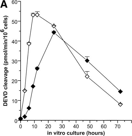 Fig. 2. Caspase-3–like activity in neutrophils undergoing spontaneous and Fas/APO-1–mediated apoptosis, as measured by cleavage of the specific fluorogenic substrate DEVD-AMC (50 μmol/L). (A) Time course of caspase-3–like activation in spontaneous (⧫) and anti-Fas MoAb-triggered (250 ng/mL; ◊) apoptosis of neutrophils. The cells were lysed at various times (0 to 72 hours) after initiation of in vitro culture and the release of AMC was monitored. The maximum rate of AMC release (pmol/min) was estimated by linear regression (r2 > 0.99). Data shown are the mean and range of duplicate determinations from a representative experiment. (B) The competitive inhibitor DEVD-CHO (50 nmol/L) was added to cell lysates in vitro and shown to block DEVD-AMC cleavage in cells undergoing spontaneous apoptosis (control, ○; plus inhibitor, •). Cells (1 × 106) were incubated for 15 hours before the fluorometric assay. Each data point represents the average value of determinations performed in triplicate samples.