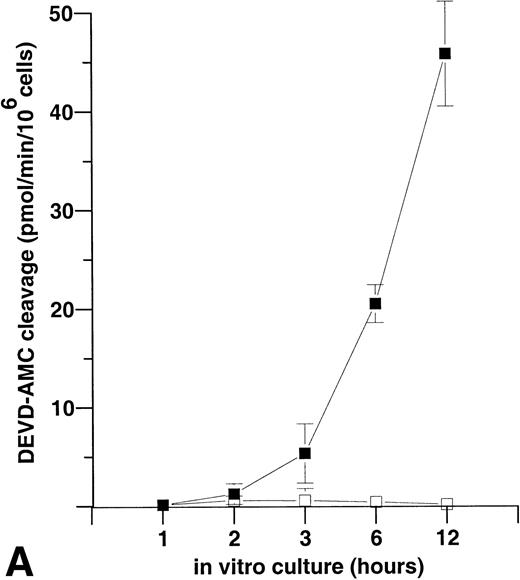 Fig. 5. NADPH oxidase-derived oxygen metabolites inhibit caspase-3–like activity and promote PS exposure in PMA-activated neutrophils. (A) PMA-stimulated neutrophils were cultured for the indicated times in the presence (▪) or absence (□) of the NADPH oxidase inhibitor DPI (10 μmol/L), and the rate of AMC liberation was determined in a fluorometric assay. Treatment of the cells with DPI did not affect the morphologic changes induced by PMA (data not shown). Solvent alone (ie, DMSO) had no discernible effect on either morphology or DEVD-AMC cleavage (data not shown). Data are presented as the mean and SD of three separate experiments performed in duplicate. (B) PS exposure was determined in neutrophils by flow cytometry after in vitro culture for 3 hours. Panel 1 shows cells treated with PMA alone (200 nmol/L). As seen in panel 2, addition of the NADPH oxidase inhibitor DPI (10 μmol/L) competely blocks PS exposure, whereas the general caspase inhibitor zVAD-cmk (10 μmol/L) has no effect in this system (panel 3). Reproducible results were obtained in three separate donors.