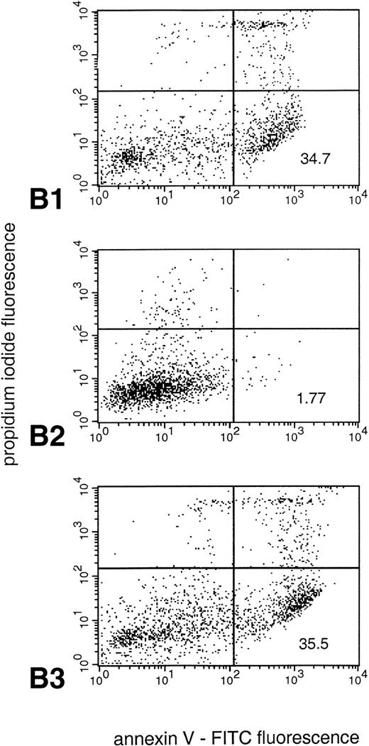 Fig. 5. NADPH oxidase-derived oxygen metabolites inhibit caspase-3–like activity and promote PS exposure in PMA-activated neutrophils. (A) PMA-stimulated neutrophils were cultured for the indicated times in the presence (▪) or absence (□) of the NADPH oxidase inhibitor DPI (10 μmol/L), and the rate of AMC liberation was determined in a fluorometric assay. Treatment of the cells with DPI did not affect the morphologic changes induced by PMA (data not shown). Solvent alone (ie, DMSO) had no discernible effect on either morphology or DEVD-AMC cleavage (data not shown). Data are presented as the mean and SD of three separate experiments performed in duplicate. (B) PS exposure was determined in neutrophils by flow cytometry after in vitro culture for 3 hours. Panel 1 shows cells treated with PMA alone (200 nmol/L). As seen in panel 2, addition of the NADPH oxidase inhibitor DPI (10 μmol/L) competely blocks PS exposure, whereas the general caspase inhibitor zVAD-cmk (10 μmol/L) has no effect in this system (panel 3). Reproducible results were obtained in three separate donors.