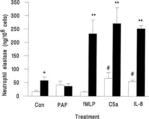 Fig. 2. Elastase release from unstimulated neutrophils (Con) or neutrophils treated with chemotactic agents (10−7 mol/L PAF, 10−7 mol/L fMLP, 1% ZAP as a source of C5a, or 1 μg/mL IL-8) either in suspension (□) or while adherent to platelet monolayers (▪). Data are the mean ± SEM from three to eight experiments. ANOVA showed significant effect of treatment and of adhesion on release of elastase. Paired t-test showed a significant increase (#P < .05) in elastase released from neutrophils in suspension activated by C5a and IL-8 compared with control; a significant increase (**P < .01) in elastase released from surface-adherent neutrophils activated by fMLP, C5a, or IL-8 compared with control; a significant increase (+P < .05) in elastase released from rolling unstimulated control neutrophils compared with unstimulated control neutrophils in suspension.