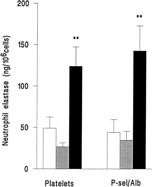 Fig. 4. Elastase release from neutrophils that were unstimulated and continuously rolling (□), stimulated with 10−7mol/L PAF (▧), or stimulated with 10−7 mol/L fMLP (▪) while adherent to platelet monolayers (Platelets) or 5 μg/mL purified recombinant P-selectin coimmobilized with 1% BSA (P-sel/Alb). Data are the mean ± SEM of three experiments. ANOVA showed that there was a significant effect of treatment on release of elastase but that adherent substrate did not affect release. Paired t-test showed that elastase release from fMLP-but not PAF-treated cells was significantly increased (**P < .01) compared with rolling unstimulated control cells on either adhesive substrate.