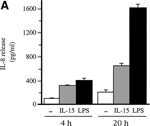 Fig. 1. Effect of IL-15 and IL-2 towards the production of IL-8 in human neutrophils. (A) Cells (106/300 μL) were cultured at 37°C in the presence or absence (–) of 250 ng/mL IL-15 (ie, 20 nmol/L) or 1 μg/mL LPS for the indicated times (in hours). Culture supernatants were collected, and their IL-8 concentration was determined using a specific ELISA. Results are expressed as mean ± standard error of mean (s.e.m.) of duplicate determinations for each experimental condition. Depicted in this panel is a representative experiment; the ability of 20 nmol/L IL-15 to induce IL-8 release was observed in seven independent experiments (P = .002 versus unstimulated cells). (B) Neutrophils (106/300 μL) were cultured for 9 hours at 37°C in the presence or absence of increasing concentrations of either IL-15 (closed squares) or IL-2 (open squares). The IL-8 content of the resulting culture supernatants was then determined by ELISA. Values are the mean ± s.e.m. of duplicate determinations for each experimental condition. This experiment is representative of at least three. (C) Neutrophils (106/300 μL) were cultured for 20 minutes at 37°C in the presence of 10 μg/mL cycloheximide (CX) or its diluent (DMSO), before stimulation with 250 ng/mL IL-15 (ie, 20 nmol/L), 103 U/mL IL-2 (∼5 nmol/L), or diluent control (ctrl), for 8 hours at 37°C. Cell-free culture supernatants and the corresponding cell pellets were collected, and their respective IL-8 concentrations were determined by ELISA. Values are the mean ± s.e.m. of averaged duplicate determinations from three independent experiments. Open bars, IL-8 release; shaded bars, total IL-8 production (ie, released + cell-associated). *, P < .04 relative to control cells, using Student’s t-test for paired data; CX treatment also yielded significantly lower (P < .05) values relative to the matched controls for all conditions tested.