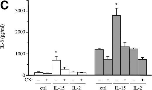 Fig. 1. Effect of IL-15 and IL-2 towards the production of IL-8 in human neutrophils. (A) Cells (106/300 μL) were cultured at 37°C in the presence or absence (–) of 250 ng/mL IL-15 (ie, 20 nmol/L) or 1 μg/mL LPS for the indicated times (in hours). Culture supernatants were collected, and their IL-8 concentration was determined using a specific ELISA. Results are expressed as mean ± standard error of mean (s.e.m.) of duplicate determinations for each experimental condition. Depicted in this panel is a representative experiment; the ability of 20 nmol/L IL-15 to induce IL-8 release was observed in seven independent experiments (P = .002 versus unstimulated cells). (B) Neutrophils (106/300 μL) were cultured for 9 hours at 37°C in the presence or absence of increasing concentrations of either IL-15 (closed squares) or IL-2 (open squares). The IL-8 content of the resulting culture supernatants was then determined by ELISA. Values are the mean ± s.e.m. of duplicate determinations for each experimental condition. This experiment is representative of at least three. (C) Neutrophils (106/300 μL) were cultured for 20 minutes at 37°C in the presence of 10 μg/mL cycloheximide (CX) or its diluent (DMSO), before stimulation with 250 ng/mL IL-15 (ie, 20 nmol/L), 103 U/mL IL-2 (∼5 nmol/L), or diluent control (ctrl), for 8 hours at 37°C. Cell-free culture supernatants and the corresponding cell pellets were collected, and their respective IL-8 concentrations were determined by ELISA. Values are the mean ± s.e.m. of averaged duplicate determinations from three independent experiments. Open bars, IL-8 release; shaded bars, total IL-8 production (ie, released + cell-associated). *, P < .04 relative to control cells, using Student’s t-test for paired data; CX treatment also yielded significantly lower (P < .05) values relative to the matched controls for all conditions tested.