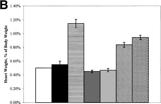 Fig. 2. (A) Mean (±SEM) spleen weight (expressed as the percentage of body weight) of control, W/Wv, sph/sph, and BMT recipients at the time of death. (□) +/+ control, n = 2. (▪) W/Wv control, n = 2. (▤) sph/sph control, n = 17. (▩) +/+→+/+a, n = 9. (░) +/+→W/Wv, n = 10. (▧)sph/sph→+/+a, n = 32. ()sph/sph→W/Wv, n = 10. (B) Mean (±SEM) heart weight (expressed as the percentage of body weight) of control, W/Wv, sph/sph, and BMT recipients at the time of death. Bars are as defined for (A); numbers in each group are as in (A), except forsph/sph→+/+a, in which n = 28.