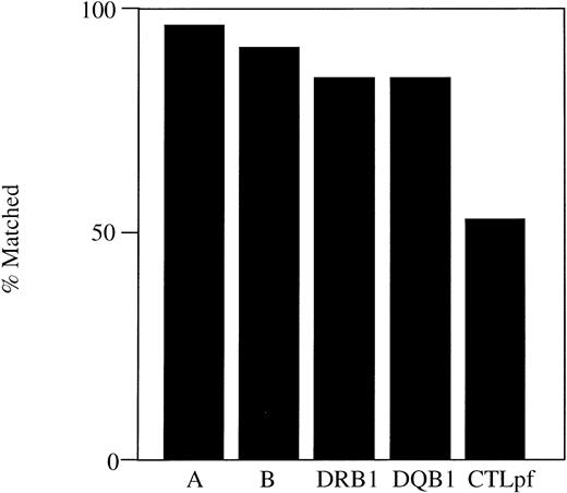 Fig. 1. Level of matching achieved by conventional typing methods. Patients and potential donors were typed by serological methods for HLA-A and -B and DNA-based methods for HLA-DRB1 and -DQB1. Limiting dilution analysis was performed in the graft-versus-host direction to assess the frequency of host specific CTL precursors. Pairs with a high CTLp frequency (>1:105 PBMC) were judged to be mismatched at the cellular level.