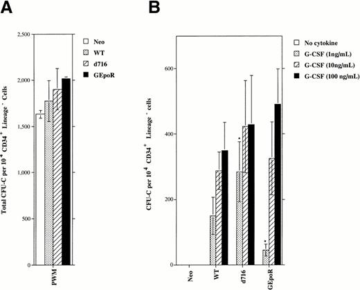 Fig. 3. Production of hematopoietic colonies. CD34+lineagelo cells transduced with the indicated retrovirus were cultured in the presence of pokeweed mitogen-stimulated spleen conditioned media (A) or the indicated amount of human G-CSF (B). The total number of hematopoietic colonies (CFU-C) observed after 10 days of culture are shown. *P value < .05 compared with cultures of WT-transduced cells. Data represent the mean ± SD.
