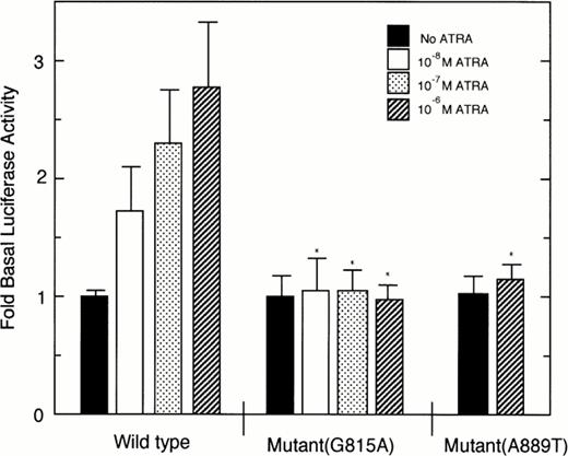 Fig. 7. Ligand-dependent transcriptional activity of wild-type or mutant PML/RARα chimeric protein on βRARE. Luciferase activity of samples was normalized to β-galactosidase activity and then calculated as fold increases of luciferase activity to that of samples in the absence of ATRA. Each point represents the mean of triplicated results, and bars denote SD. *Significant difference as compared with the luciferase activities of wild-type PML/RARα in the presence of the corresponding concentrations of ATRA.