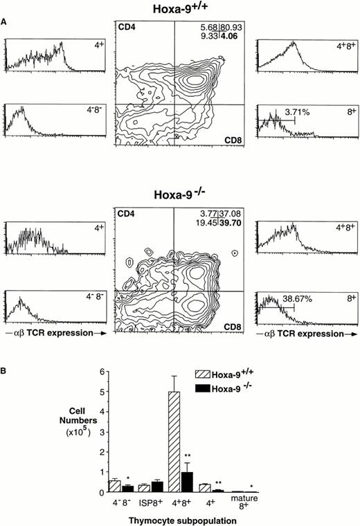 Fig. 4. Abnormal development of Hoxa-9−/−thymocytes in 6-day FTOCs. (A) FACS analysis of thymocytes harvested from 6-day FTOCs using antibodies against CD4, CD8, and αβ TCR. There is a marked decrease in the number of DP cells (upper right quadrant of middle panels) in the mutant thymuses, associated with a 10-fold increase in the percentage of CD8+ cells (lower right quadrant). These latter cells are ISPs, ie, TCR−CD8+, as shown in the lower right side panels, where the numbers represent ISP cells as a percentage of total thymocytes. (B) Absolute numbers of T-cell subsets in 6-day FTOCs. Based on analyses from 4 separate FTOC experiments (representing 7 mutant and 8 wild-type thymuses), there is a delay in progression ofHoxa-9−/− thymocytes through the ISP stage and significant reductions in the numbers of more mature DP and SP cells.