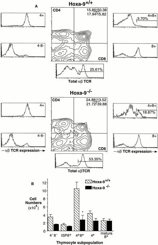 Fig. 5. Accelerated progression ofHoxa-9−/− thymocytes to SP cells in 10-day FTOCs. (A) FACS analysis of thymocytes harvested from 10-day FTOCs using antibodies against CD4, CD8, and αβ TCR. Most of theHoxa-9−/− cells have progressed through the DP stage to become mature SP cells. (B) Absolute numbers of T-cell subsets in 10-day FTOCs. Based on analyses from 3 separate FTOC experiments (representing 4 mutant and 6 wild-type thymuses), the numbers of SP mature cells in the mutant and normal FTOCs are not significantly different, but the number of Hoxa-9−/− DP is markedly reduced.