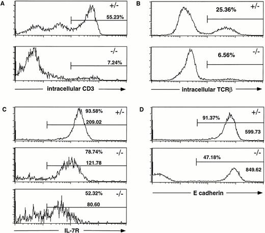 Fig. 6. Multiple defects in the TN check point of T-cell development in Hoxa-9−/− thymuses. Day-15.5 or day-16.5 fetal thymocytes were subjected to FACS analysis using the specific antibodies indicated in each panel. (A) Intracellular CD3 expression. The percentage of mutant thymocytes expressing intracellular CD3 is markedly reduced. (B) Intracellular TCRβ expression. Approximately one fourth of the normal fetal thymocytes have successfully rearranged their TCRβ chain by day 16.5, whereas the extent of TCRβ rearrangement in theHoxa-9−/− T cells is diminished by fourfold. (C) IL-7R expression. The percentage of IL-7R+ thymocytes in Hoxa-9−/− thymuses is significantly decreased as is the mean fluorescence intensity. (D) E-cadherin expression on fetal thymocytes. The fraction ofHoxa-9−/− thymocytes expressing high levels of E-cadherin is diminished by half. All analyses were repeated with at least 3 separate mutant and control animals.