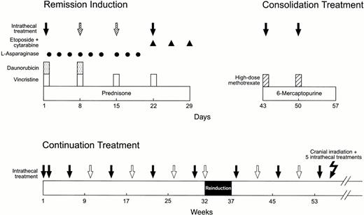 Fig. 1. Schema of remission induction, consolidation treatment, and continuation therapy for the first year. Solid arrows indicate triple intrathecal treatment that was administered to all patients; hatched arrows, additional doses administered only to patients with a CNS-2, CNS-3, or contaminated status; open arrows, additional doses administered during the continuation phase of therapy to patients with a higher risk of CNS relapse, as defined by CSF findings or other features (Table 1). Cranial irradiation plus 5 triple intrathecal treatments was administered only to patients with high-risk leukemia. See the Materials and Methods for other details.