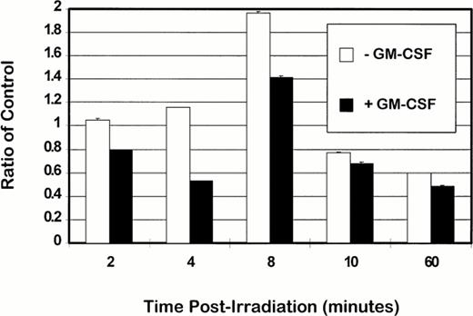Fig. 4. The effect of GM-CSF rescue from apoptosis on ceramide levels in TF-1 cells. TF-1 cells were treated with γ radiation (5 Gy) in either the presence or absence of GM-CSF (100 U/mL) in complete RPMI supplemented with 20% FBS, and harvested at 2, 4, 8, 10, and 60 minutes postirradiation. Extraction and measurement of ceramide was performed as described37 by assay of 32P incorporated upon phosphorylation of ceramide to ceramide 1-P by DAG kinase. Ceramide 1-P was resolved by TLC using CHCl3:CH3OH:acetic acid (65:15:5, vol/vol) as solvent, detected by autoradiography and the incorporated32P was quantified by phosphoimaging (Fugi BAS1000, Fugi Medical Systems). The level of ceramide was determined by comparison to a concomitantly run standard composed of known amounts of ceramide. Ratios were derived by comparison to ceramide levels of unirradiated TF-1 cells grown in either the presence or absence of GM-CSF. The values were derived from duplicate experiments and error bars represent standard deviations into which mean values were incorporated.