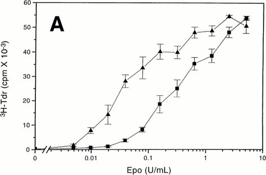 Fig. 1. d392 EpoR expressing Ba/F3 cells are not hyperresponsive to Epo when Epo is the only mitogen present. (A) Epo-dose response curves were generated using short-term proliferation assays, with Ba/F3-WT (▪) and Ba/F3-d392 (▴) cells in 10% FCS. (B) Epo-dose response curves were generated using short-term proliferation assays, with the same Ba/F3-WT (▪) and Ba/F3-d392 (▴) cells in SS. (C) Epo-dose response curves were generated using short-term proliferation assays, with DA-3-WT (▪) and DA-3-d392 (▴) cells in 10% FCS. (D) Epo-dose response curves were generated using short-term proliferation assays, with the same DA-3-WT (▪) and DA-3-d392 (▴) cells in SS.