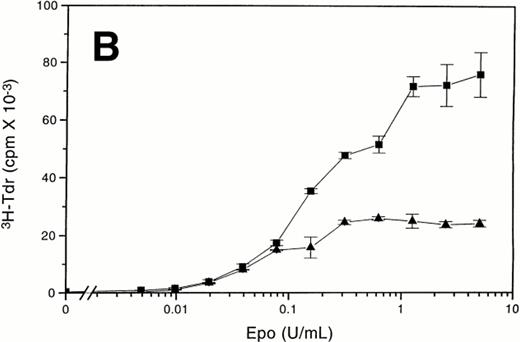 Fig. 1. d392 EpoR expressing Ba/F3 cells are not hyperresponsive to Epo when Epo is the only mitogen present. (A) Epo-dose response curves were generated using short-term proliferation assays, with Ba/F3-WT (▪) and Ba/F3-d392 (▴) cells in 10% FCS. (B) Epo-dose response curves were generated using short-term proliferation assays, with the same Ba/F3-WT (▪) and Ba/F3-d392 (▴) cells in SS. (C) Epo-dose response curves were generated using short-term proliferation assays, with DA-3-WT (▪) and DA-3-d392 (▴) cells in 10% FCS. (D) Epo-dose response curves were generated using short-term proliferation assays, with the same DA-3-WT (▪) and DA-3-d392 (▴) cells in SS.