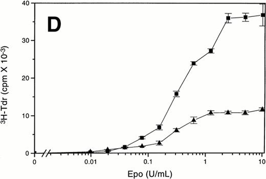 Fig. 1. d392 EpoR expressing Ba/F3 cells are not hyperresponsive to Epo when Epo is the only mitogen present. (A) Epo-dose response curves were generated using short-term proliferation assays, with Ba/F3-WT (▪) and Ba/F3-d392 (▴) cells in 10% FCS. (B) Epo-dose response curves were generated using short-term proliferation assays, with the same Ba/F3-WT (▪) and Ba/F3-d392 (▴) cells in SS. (C) Epo-dose response curves were generated using short-term proliferation assays, with DA-3-WT (▪) and DA-3-d392 (▴) cells in 10% FCS. (D) Epo-dose response curves were generated using short-term proliferation assays, with the same DA-3-WT (▪) and DA-3-d392 (▴) cells in SS.