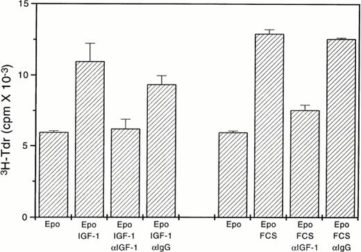 Fig. 5. IGF-1 is a major mitogen in FCS for Ba/F3-d392 cells. Short-term proliferation assays were performed with Ba/F3-d392 cells stimulated with 100 mU/mL Epo ± 0.2 nmol/L IGF-1, ± 0.2 nmol/L IGF-1 after pretreatment with anti–IGF-1, ± 0.2 nmol/L IGF-1 after pretreatment with control anti-IgG, ± 1% FCS, ± 1% FCS after pretreatment with anti–IGF-1, and ± 1% FCS after pretreatment with control anti-IgG, as described in Materials and Methods. Data points represent the mean ± SE of triplicate determinations.
