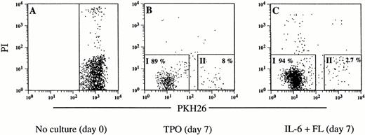 Fig. 3. Flow cytometric analysis and sorting windows of cells tracked with PKH26. (A) PKH26 fluorescence of freshly sorted Lin−Sca-1+c-kit+ cells stained with PKH26 on day 0. (B and C) PKH26 fluorescence of the cell populations after 7 days of suspension culture with TPO (B) or IL-6 and FL (C). Viable (PI-negative) cells were arbitarily divided into PKH26low populations (I) and PKH26highpopulations (II): BI, 89%; BII, 8%; CI, 94%; and CII, 2.7%.