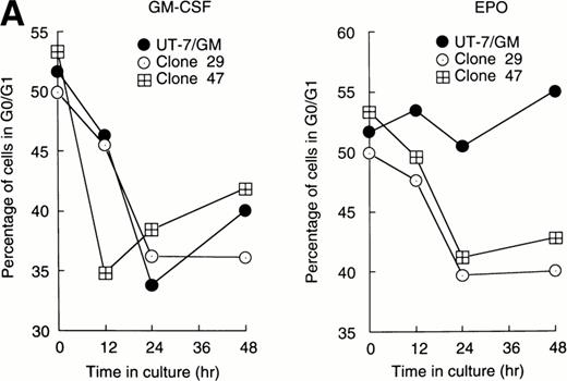 Fig. 3. Cell cycle analysis. Parental UT-7/GM cells, Stat1α-transfected clones (A; clones 29 and 47), or Stat3-transfected clones (B; clones 5 and 29) were starved for 24 hours. The cells were subsequently stimulated with GM-CSF (10 ng/mL, left panel) or EPO (10 U/mL, right panel) and harvested at the indicated times for cell cycle analysis. The percentage of cells in G0/G1 was determined by a ModFitLT program. The data are the means of three independent experiments.