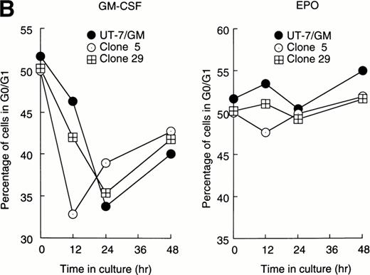 Fig. 3. Cell cycle analysis. Parental UT-7/GM cells, Stat1α-transfected clones (A; clones 29 and 47), or Stat3-transfected clones (B; clones 5 and 29) were starved for 24 hours. The cells were subsequently stimulated with GM-CSF (10 ng/mL, left panel) or EPO (10 U/mL, right panel) and harvested at the indicated times for cell cycle analysis. The percentage of cells in G0/G1 was determined by a ModFitLT program. The data are the means of three independent experiments.