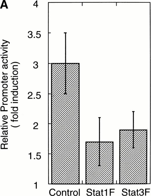 Fig. 6. Effects of dominant-negative forms of Stat1α and Stat3 on the inhibition by GM-CSF of EPO-induced erythroid differentiation. (A) UT-7/GM cells were transfected with a plasmid DNA mixture (1 μg of reporter genes containing 4 copies of APRE in front of the minimaljunB promoter linked to the luciferase gene, 2 μg of either expression vector pCAGGS-Neo, with no insert or with an insert of Stat cDNA encoding either HA-Stat3F or HA-Stat1F, and 1 μg of pSV-β-galactosidase. After transfection, the cells were cultured without growth factors and then stimulated with GM-CSF (10 ng/mL) for 6 hours. Luciferase values were normalized for β-galactosidase activity and expressed relative to the normalized luciferase activity in the extracts from unstimulated cells transfected with the reporter plasmids and a control expression plasmid. The data are the mean ± SD of more than four independent experiments. (B) MTT reduction assay. Cells were plated at a density of 104/well in IMDM supplemented with 5% FCS and cultured with GM-CSF (10 ng/mL). MTT reduction was measured after 3 days of culture. The data are the mean ± SD of triplicate cultures. (C) Dianidisine staining. Cells were cultured in the presence of GM-CSF (10 ng/mL) or a combination of EPO (10 U/mL) and GM-CSF (10 ng/mL). Seven days later, cells were harvested for dianisidine staining. The data are the mean ± SD from three independent clones.