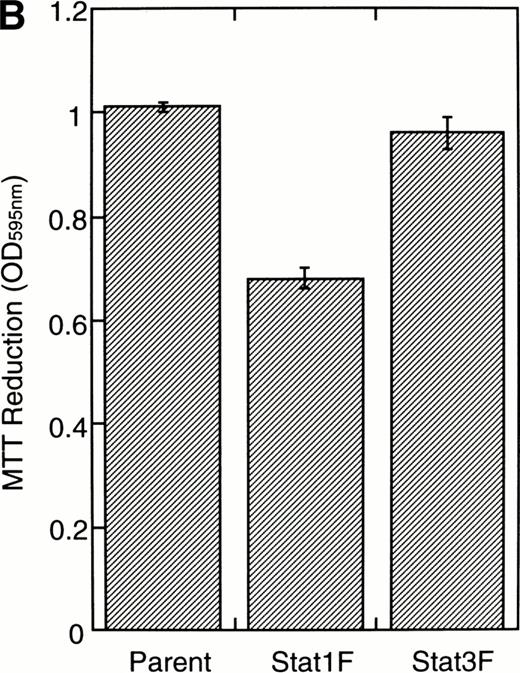Fig. 6. Effects of dominant-negative forms of Stat1α and Stat3 on the inhibition by GM-CSF of EPO-induced erythroid differentiation. (A) UT-7/GM cells were transfected with a plasmid DNA mixture (1 μg of reporter genes containing 4 copies of APRE in front of the minimaljunB promoter linked to the luciferase gene, 2 μg of either expression vector pCAGGS-Neo, with no insert or with an insert of Stat cDNA encoding either HA-Stat3F or HA-Stat1F, and 1 μg of pSV-β-galactosidase. After transfection, the cells were cultured without growth factors and then stimulated with GM-CSF (10 ng/mL) for 6 hours. Luciferase values were normalized for β-galactosidase activity and expressed relative to the normalized luciferase activity in the extracts from unstimulated cells transfected with the reporter plasmids and a control expression plasmid. The data are the mean ± SD of more than four independent experiments. (B) MTT reduction assay. Cells were plated at a density of 104/well in IMDM supplemented with 5% FCS and cultured with GM-CSF (10 ng/mL). MTT reduction was measured after 3 days of culture. The data are the mean ± SD of triplicate cultures. (C) Dianidisine staining. Cells were cultured in the presence of GM-CSF (10 ng/mL) or a combination of EPO (10 U/mL) and GM-CSF (10 ng/mL). Seven days later, cells were harvested for dianisidine staining. The data are the mean ± SD from three independent clones.