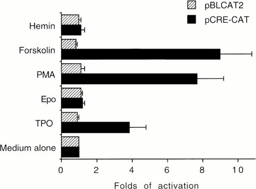Fig. 4. HEL cells were cultured in the presence of medium alone (negative control), TPO (100 ng/mL), Epo (2 U/mL), hemin (10−7 mol/L), forskolin (10−5 mol/L), or PMA (10−7 mol/L) for 30 minutes. CRE-CAT promoter activity was measured as folds of activations with respect to HEL cells left untreated. Data are reported as the means ± SD of four independent transfection experiments performed in duplicate.