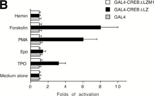 Fig. 5. Analysis of GAL4-CREB fusions by cotransfection assay. (A) Schematic structure of GAL4-CREB fusion constructs and reporter gene construct. (B) HEL cells were cotransfected with the pG4-CAT reporter gene and a gene encoding GAL4(1-147), GAL4-CREB▵LZ, or GAL4-CREB▵LZM1 and then treated with medium alone (negative control), TPO (100 ng/mL), Epo (2 U/mL), hemin (10−7 mol/L), forskolin (10−5 mol/L), or PMA (10−7 mol/L) for 30 minutes. CAT promoter activity was measured as folds of activations with respect to HEL cells left untreated (medium alone). Data are reported as the means ± SD of three independent transfection experiments performed in duplicate.